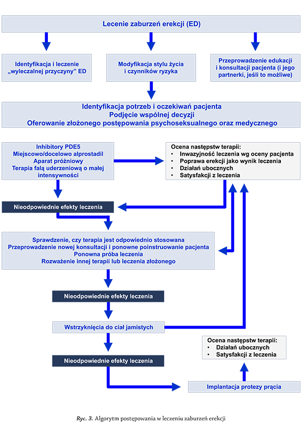 andrologia_European