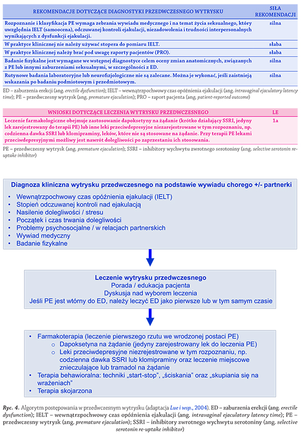 andrologia_European